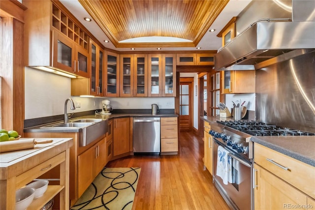 kitchen with appliances with stainless steel finishes, ventilation hood, wood ceiling, a sink, and a tray ceiling