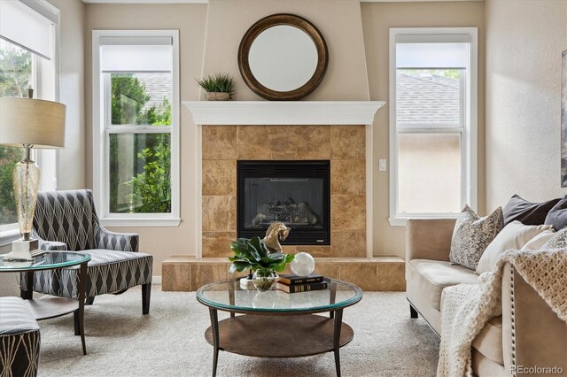 2601 Pemberly Ave, Highlands Ranch, CO 80126 - living area featuring carpet and a fireplace