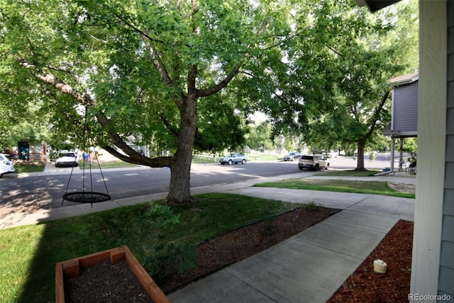 10653 Forester Pl, Longmont, CO 80504 - photo 3