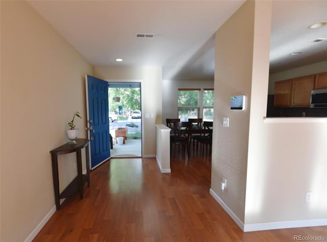 10653 Forester Pl, Longmont, CO 80504 - photo 5