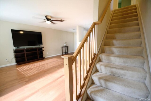 10653 Forester Pl, Longmont, CO 80504 - photo 10