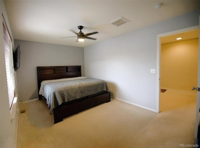 10653 Forester Pl, Longmont, CO 80504 - photo 12