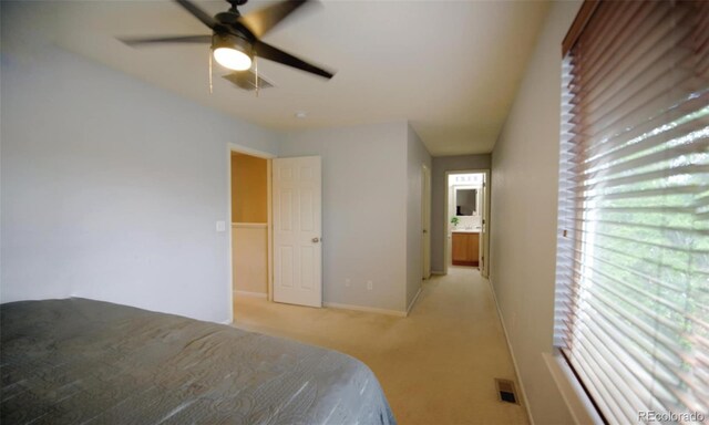 10653 Forester Pl, Longmont, CO 80504 - photo 13