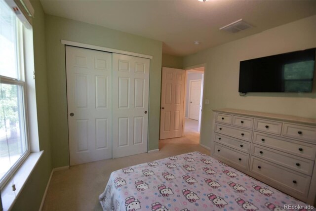10653 Forester Pl, Longmont, CO 80504 - photo 15