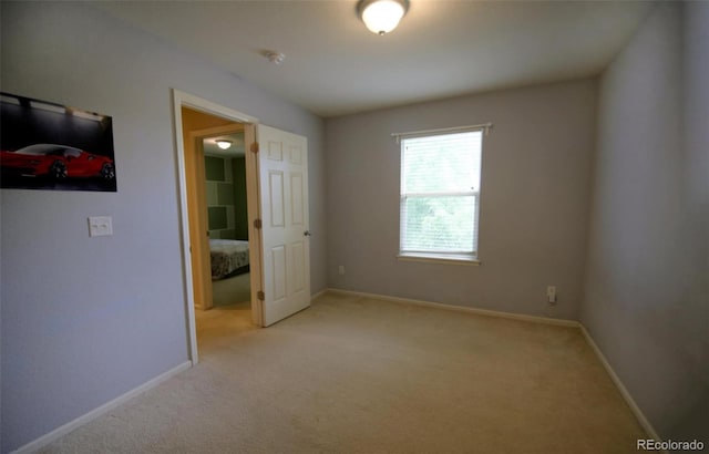 10653 Forester Pl, Longmont, CO 80504 - photo 18