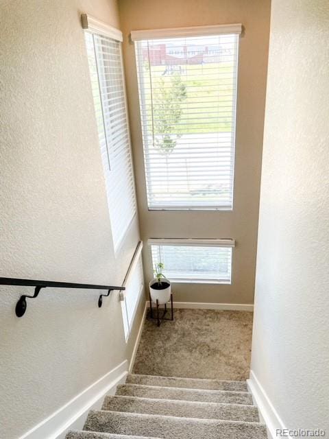 staircase featuring carpet and a wealth of natural light