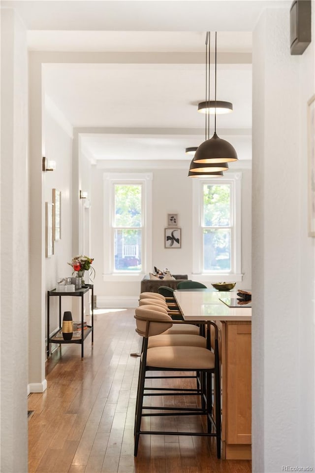 2355 N Emerson St, Denver, CO 80205 - dining space with plenty of natural light, hardwood / wood-style flooring, and baseboards