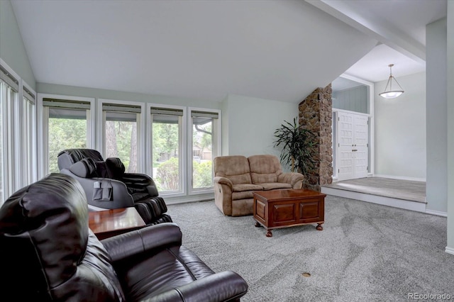7715 S Hudson Ct, Centennial, CO 80122 - carpeted living area with lofted ceiling, healthy amount of natural light, and baseboards