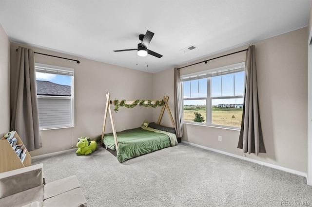 652 Pinecliff Dr, Erie, CO 80516 - photo 22