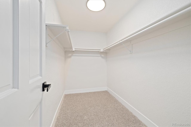4656 Tanglewood Trl, Boulder, CO 80301 - photo 28