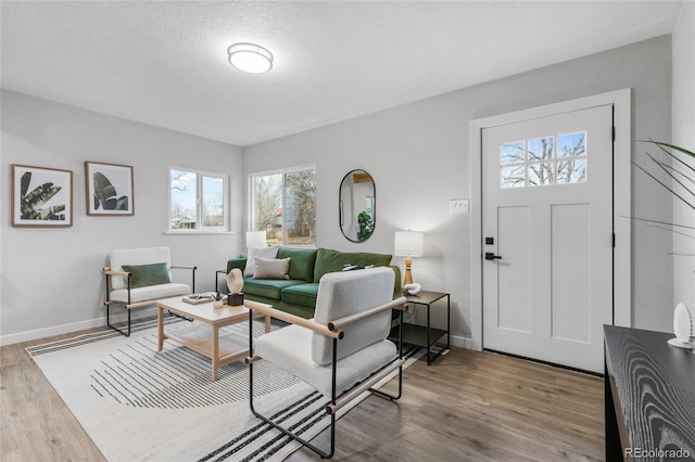 living room with wood-type flooring and a wealth of natural light