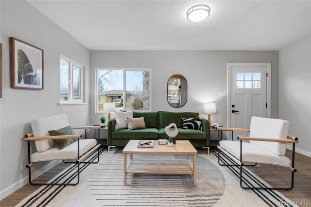 living room with hardwood / wood-style flooring