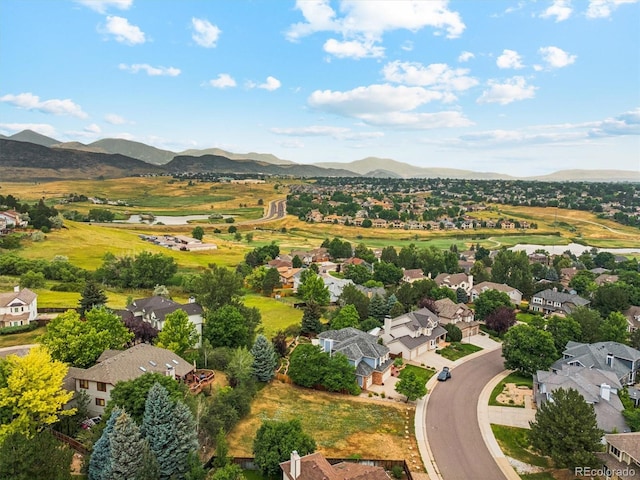10764 W Quarles Ave, Littleton, CO 80127 - photo 7
