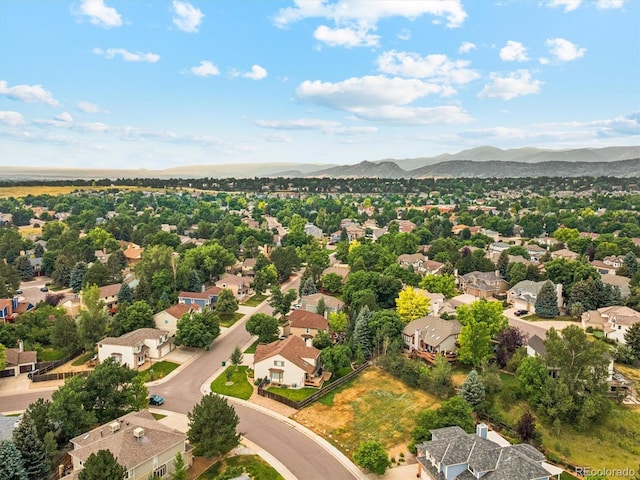 10764 W Quarles Ave, Littleton, CO 80127 - photo 12