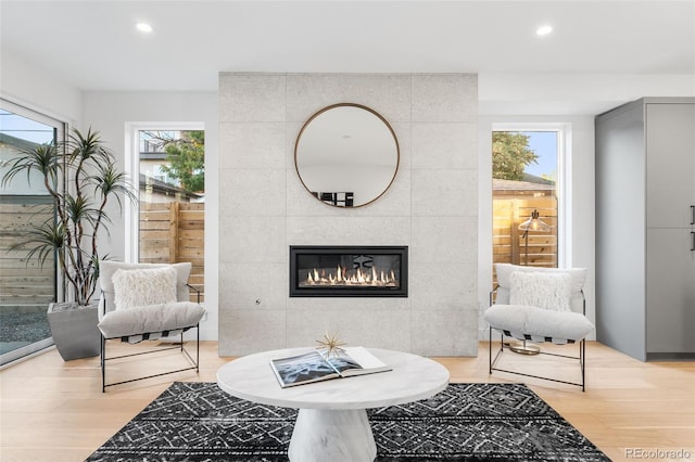 living area featuring a fireplace, light hardwood / wood-style floors, and a healthy amount of sunlight