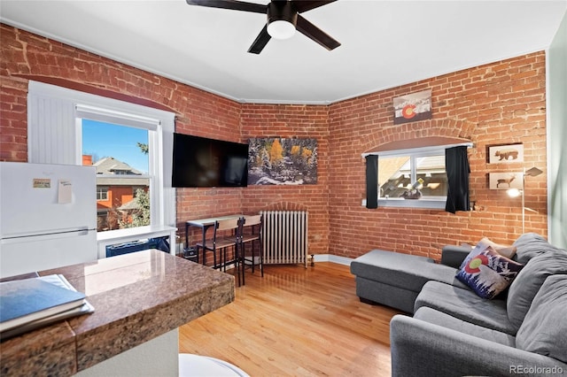 1450 N High St Unit 3, Denver, CO 80218 - living room featuring radiator, brick wall, healthy amount of natural light, light wood-style flooring, and a ceiling fan