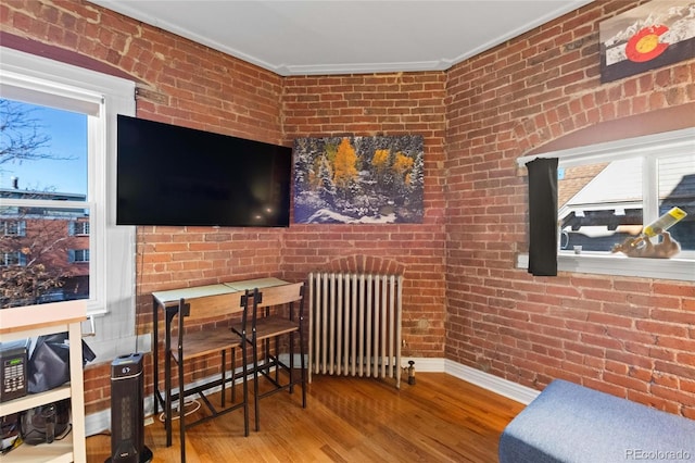 1450 N High St Unit 3, Denver, CO 80218 - interior space featuring radiator, ornamental molding, wood finished floors, healthy amount of natural light, and brick wall