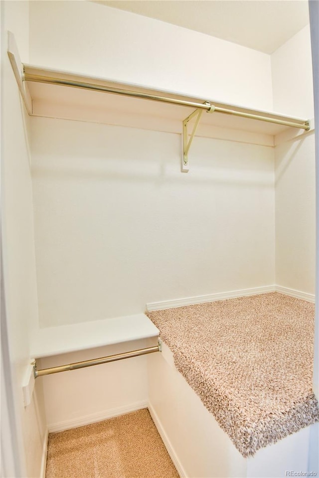 spacious closet featuring light carpet