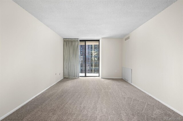 carpeted spare room featuring expansive windows and a textured ceiling