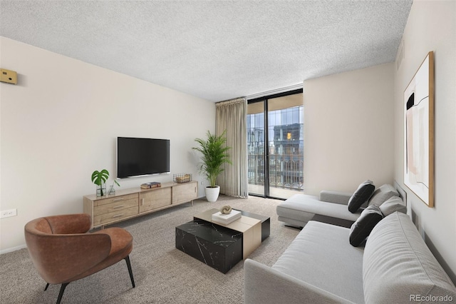 carpeted living room with a textured ceiling and expansive windows