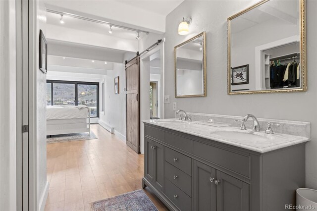 220 E Ln Bonte St Unit 317, Dillon, CO 80435 - full bath featuring double vanity, wood finished floors, ensuite bath, a closet, and rail lighting