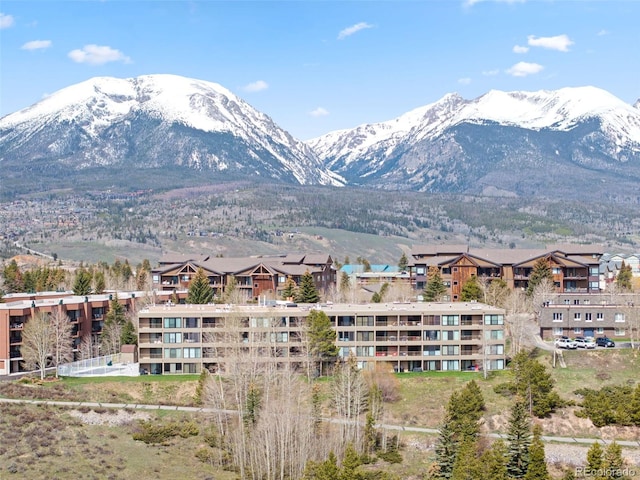 220 E Ln Bonte St Unit 317, Dillon, CO 80435 - mountain view