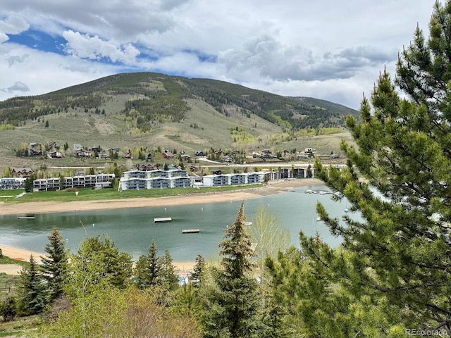 220 E Ln Bonte St Unit 317, Dillon, CO 80435 - water view featuring a mountainous background