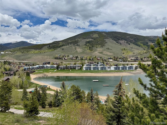 220 E Ln Bonte St Unit 317, Dillon, CO 80435 - water view with mountains
