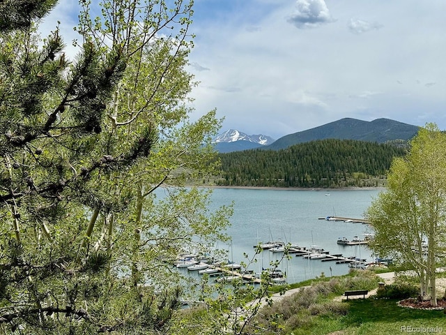 220 E Ln Bonte St Unit 317, Dillon, CO 80435 - water view featuring a heavily wooded area and mountains