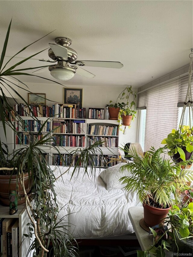 1888 S Jackson St Unit 404, Denver, CO 80210 - living area with ceiling fan