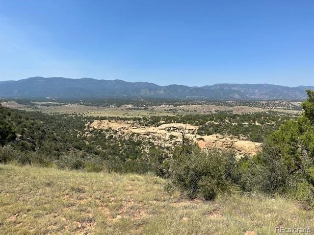 TBDLOT8 Newlin Ridge Rd, Florence, CO 81226
