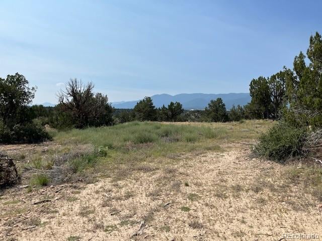 TBDLOT8 Newlin Ridge Rd, Florence, CO 81226