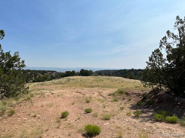 TBDLOT8 Newlin Ridge Rd, Florence, CO 81226