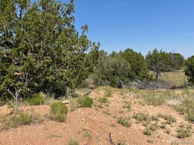 TBDLOT8 Newlin Ridge Rd, Florence, CO 81226