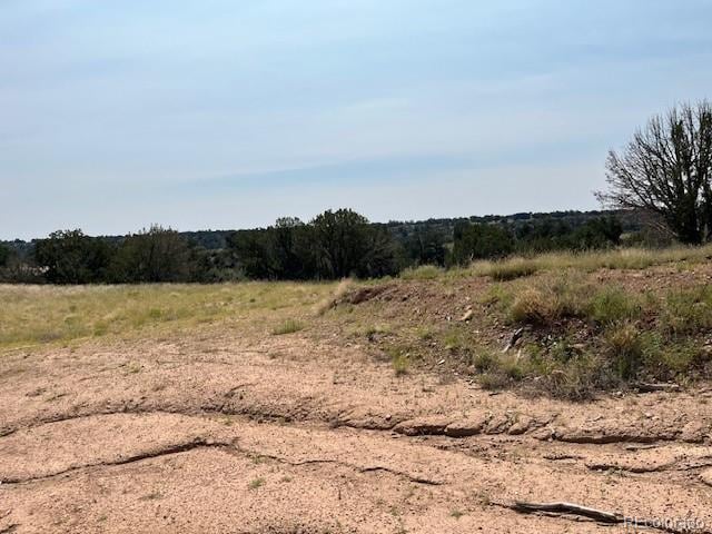 TBDLOT8 Newlin Ridge Rd, Florence, CO 81226
