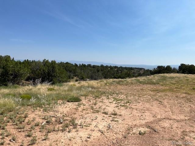 TBDLOT8 Newlin Ridge Rd, Florence, CO 81226