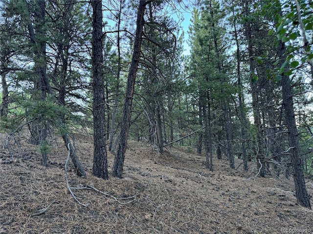 005 Russell Gulch Rd, Central City, CO 80427