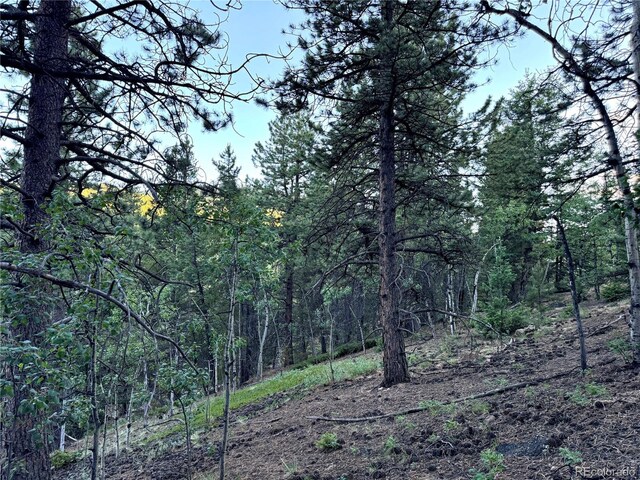 005 Russell Gulch Rd, Central City, CO 80427