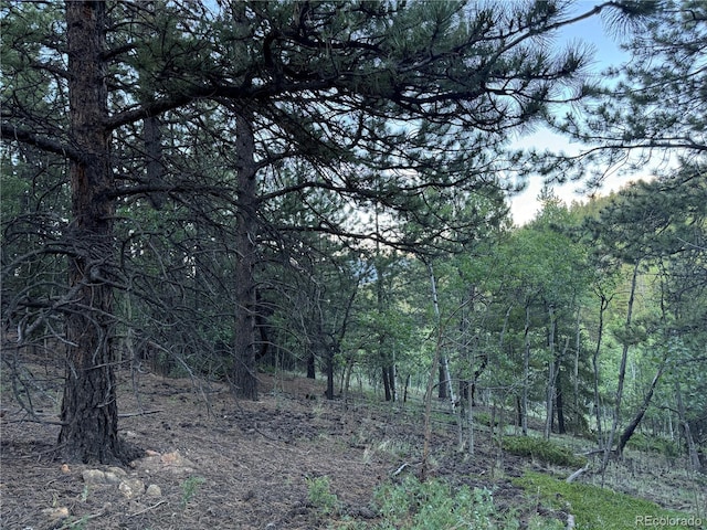 005 Russell Gulch Rd, Central City, CO 80427
