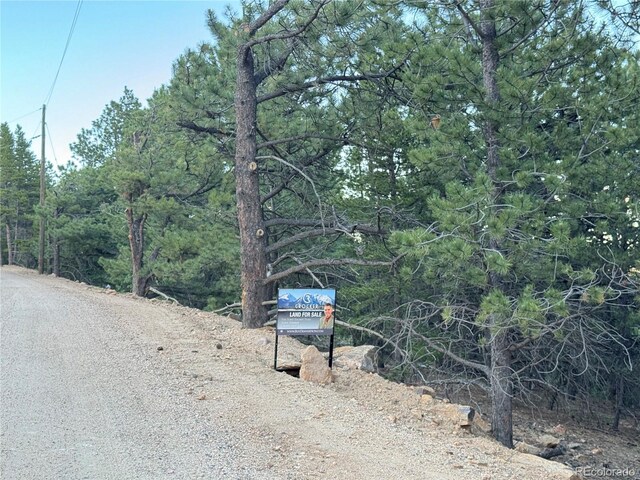 005 Russell Gulch Rd, Central City, CO 80427