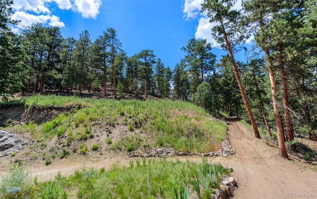 3819 James Canyon Dr, Jamestown, CO 80455
