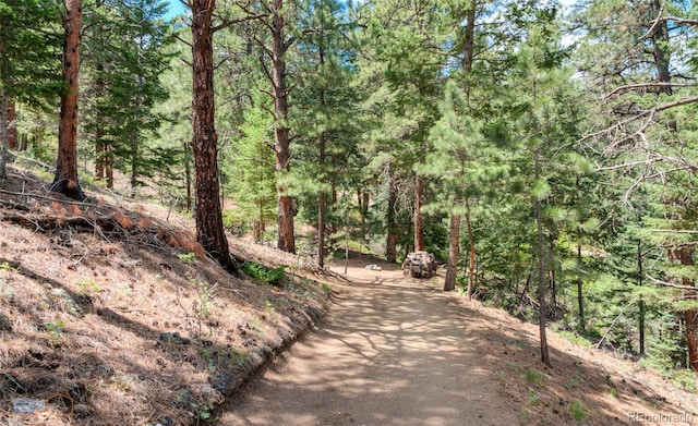 3819 James Canyon Dr, Jamestown, CO 80455
