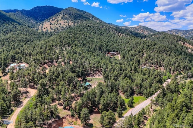 3819 James Canyon Dr, Jamestown, CO 80455