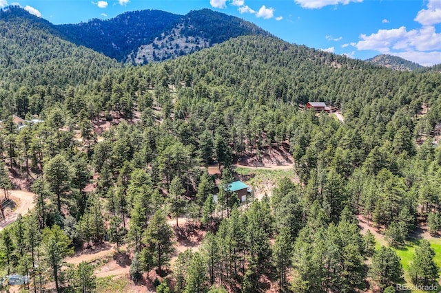 3819 James Canyon Dr, Jamestown, CO 80455