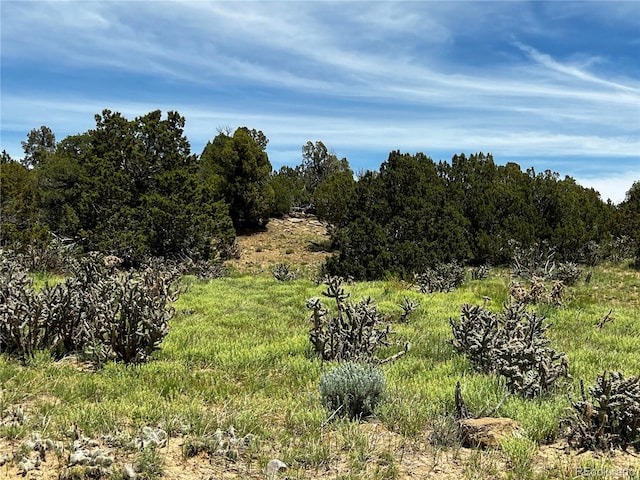 LOT589 La Deora Blvd, Walsenburg CO, 81089 land for sale