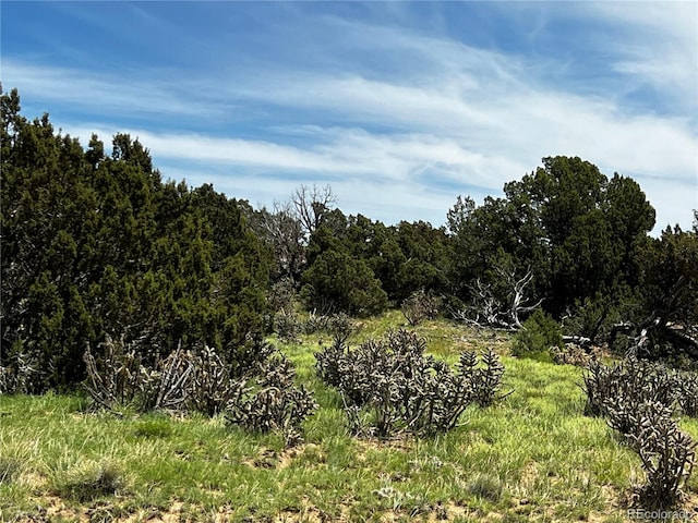 Listing photo 2 for LOT589 La Deora Blvd, Walsenburg CO 81089