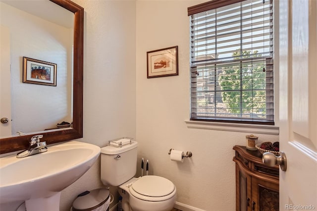 bathroom featuring sink and toilet