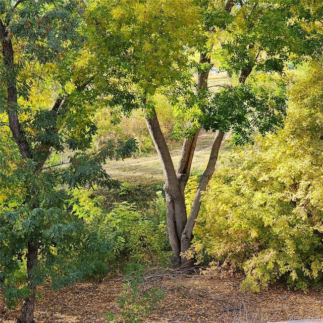 view of landscape