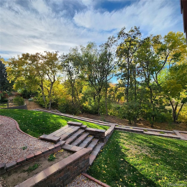 view of property's community featuring a yard