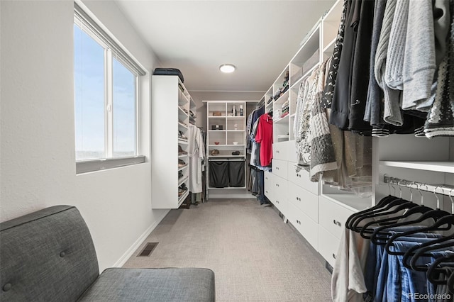 13108 Stoney Meadows Way, Peyton, CO 80831 - spacious closet with carpet floors